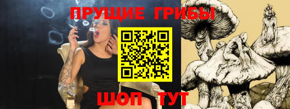 Псилоцибиновые грибы прущие грибы Тейково