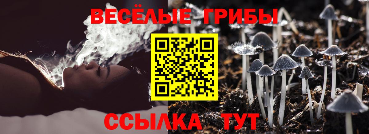 Галлюциногенные грибы Magic Shrooms  Вход с VPN  Тейково 